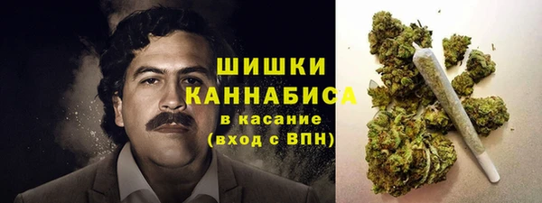 молекула духа Балахна